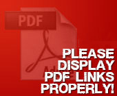 Please display PDF links properly! - Whatwasithinking.co.uk